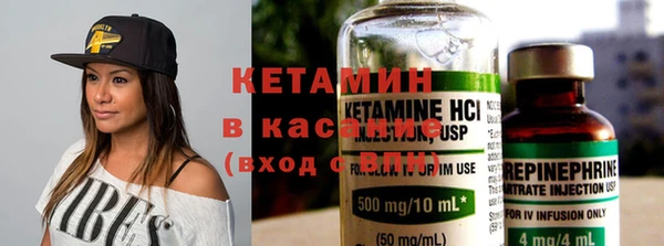 шишки Каменногорск