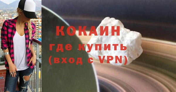 соль ск Каменка