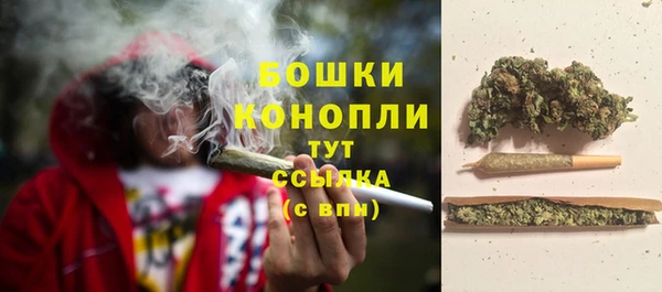 шишки Каменногорск