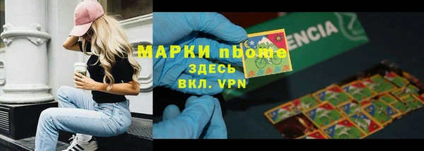шишки Каменногорск