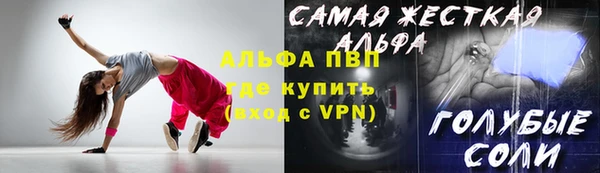 шишки Каменногорск