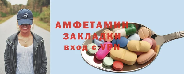 шишки Каменногорск