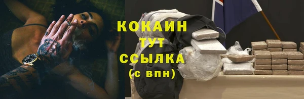 соль ск Каменка