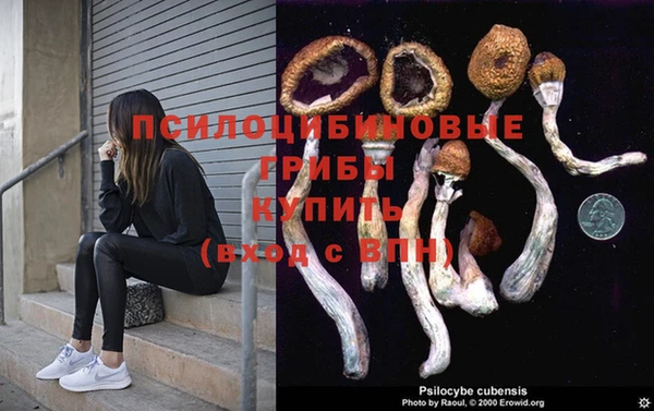шишки Каменногорск