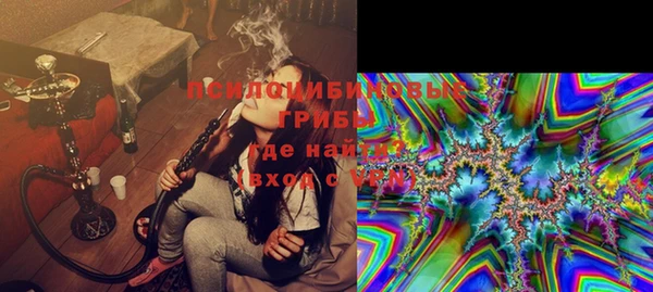 шишки Каменногорск