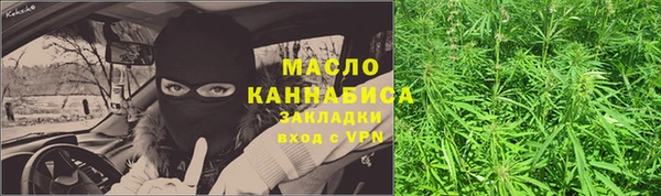 шишки Каменногорск
