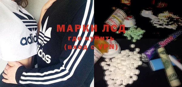 шишки Каменногорск