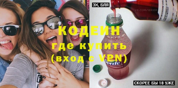 шишки Каменногорск