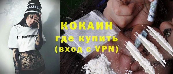соль ск Каменка