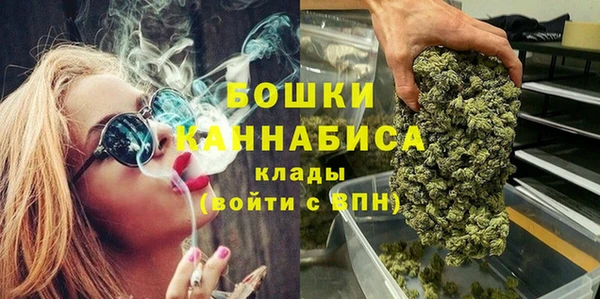 шишки Каменногорск
