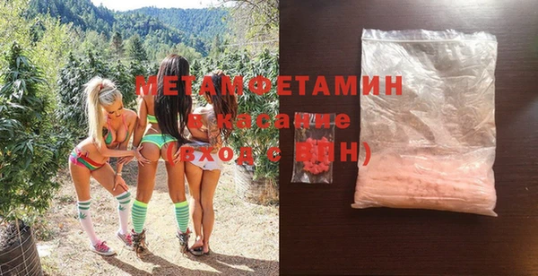 шишки Каменногорск
